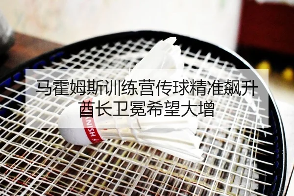 ma-huo-mu-si-xun-lian-ying-chuan-qiu-jing-zhun-biao-sheng-qiu-zhang-wei-mian-xi-wang-da-zeng-2-776.jpg